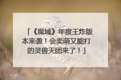 《魔域》年度王炸版本来袭！会卖萌又能打的灵兽天团来了！