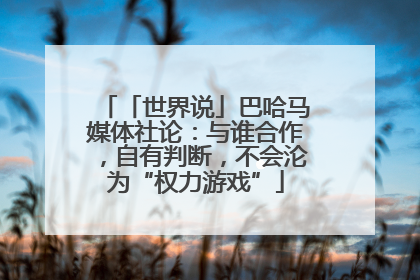 「世界说」巴哈马媒体社论：与谁合作，自有判断，不会沦为“权力游戏”