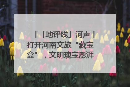 「地评线」河声丨打开河南文旅“藏宝盒”，文明瑰宝澎湃发展“豫动能”