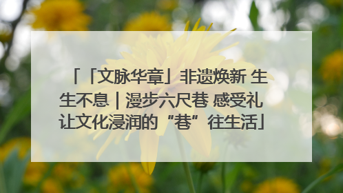 「文脉华章」非遗焕新 生生不息｜漫步六尺巷 感受礼让文化浸润的“巷”往生活