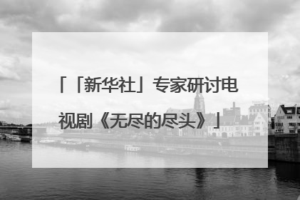 「新华社」专家研讨电视剧《无尽的尽头》