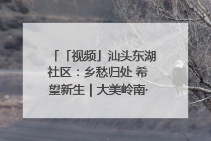 「视频」汕头东湖社区：乡愁归处 希望新生｜大美岭南·百村焕新记