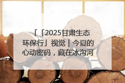 「2025甘肃生态环保行」视觉｜今夏的心动密码，藏在冰沟河的潋滟波光里