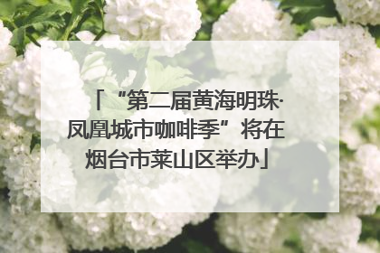 “第二届黄海明珠·凤凰城市咖啡季”将在烟台市莱山区举办