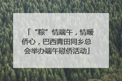 “粽”情端午，情暖侨心，巴西青田同乡总会举办端午慰侨活动