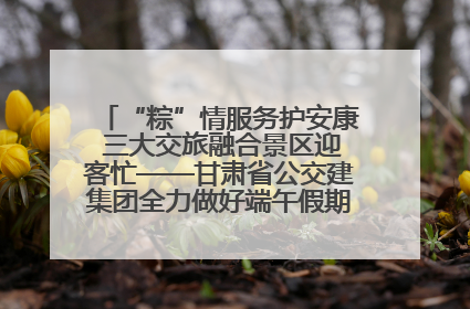 “粽”情服务护安康 三大交旅融合景区迎客忙——甘肃省公交建集团全力做好端午假期景区运营工作