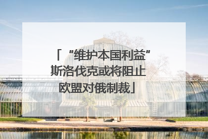 “维护本国利益” 斯洛伐克或将阻止欧盟对俄制裁