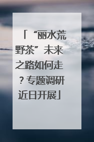“丽水荒野茶”未来之路如何走？专题调研近日开展