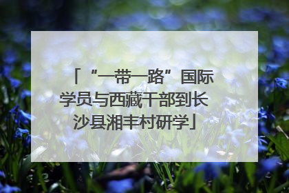 “一带一路”国际学员与西藏干部到长沙县湘丰村研学