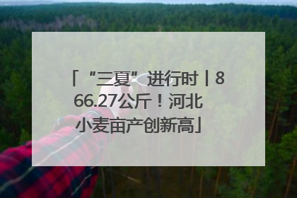 “三夏”进行时丨866.27公斤！河北小麦亩产创新高