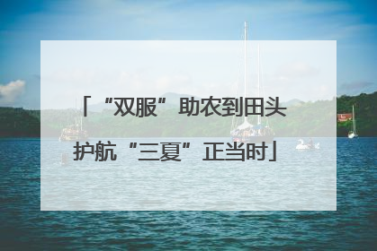 “双服”助农到田头 护航“三夏”正当时