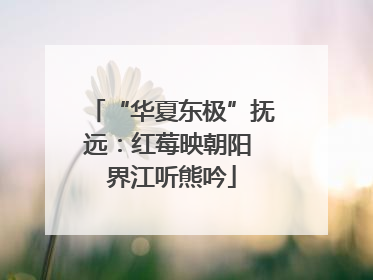 “华夏东极”抚远：红莓映朝阳 界江听熊吟