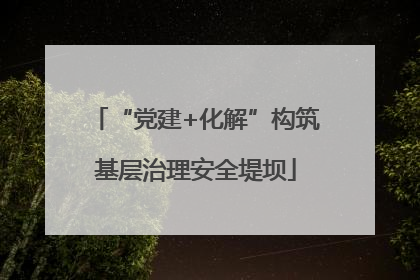 “党建+化解”构筑基层治理安全堤坝
