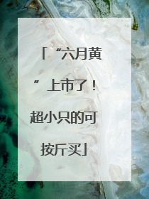 “六月黄”上市了！超小只的可按斤买