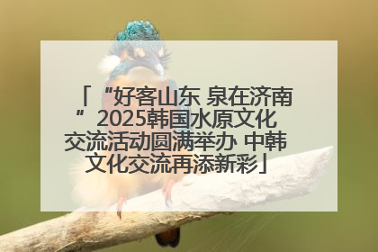 “好客山东 泉在济南”2025韩国水原文化交流活动圆满举办 中韩文化交流再添新彩
