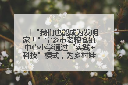 “我们也能成为发明家！”宁乡市老粮仓镇中心小学通过“实践+科技”模式，为乡村娃探索教育新路径