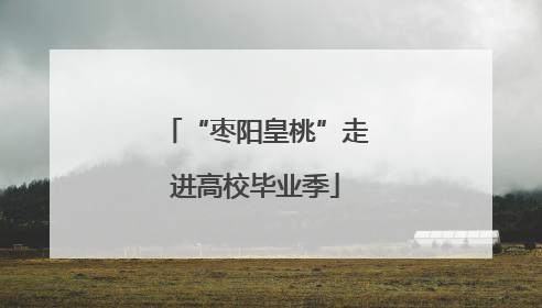 “枣阳皇桃”走进高校毕业季