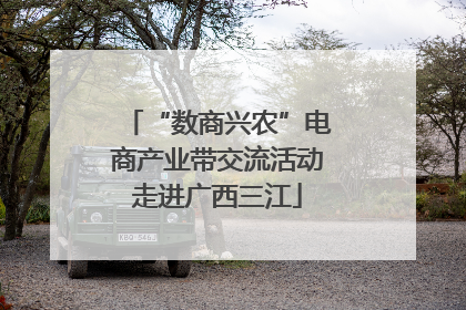 “数商兴农”电商产业带交流活动走进广西三江