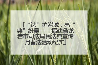 “法”护岩城，亮“典”纷呈——福建省龙岩市司法局民法典宣传月普法活动纪实