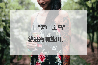 “海中宝马”游进霞浦盐田