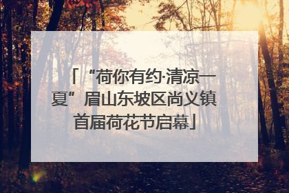 “荷你有约·清凉一夏”眉山东坡区尚义镇首届荷花节启幕