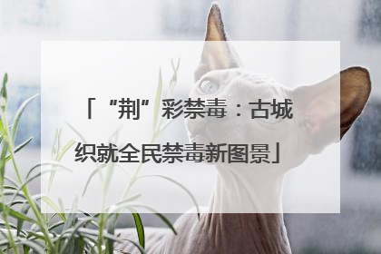 “荆”彩禁毒：古城织就全民禁毒新图景