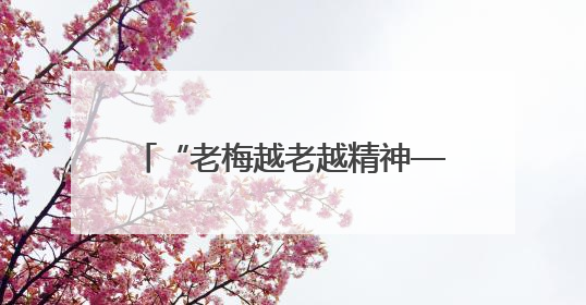 “老梅越老越精神——梅雪峰、梅纯一艺术研究展”研讨会在安徽省美术馆召开