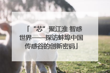 “芯”聚江淮 智感世界——探访蚌埠中国传感谷的创新密码