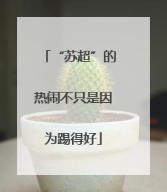 “苏超”的热闹不只是因为踢得好