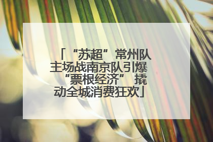 “苏超”常州队主场战南京队引爆“票根经济” 撬动全城消费狂欢