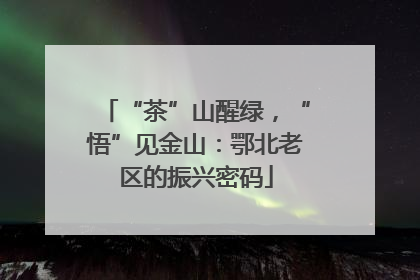 “茶”山醒绿，“悟”见金山：鄂北老区的振兴密码