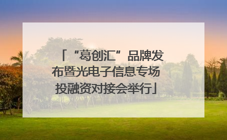 “葛创汇”品牌发布暨光电子信息专场投融资对接会举行