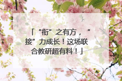 “衔”之有方，“接”力成长！这场联合教研超有料！