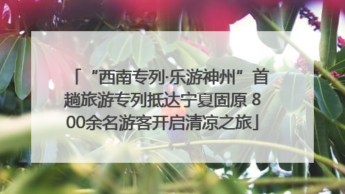 “西南专列·乐游神州”首趟旅游专列抵达宁夏固原 800余名游客开启清凉之旅