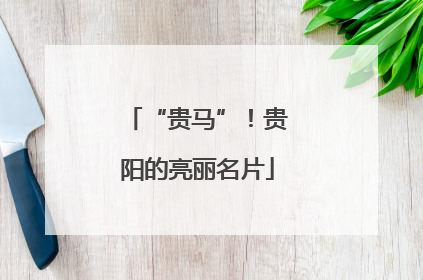 “贵马”！贵阳的亮丽名片