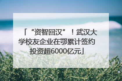 “资智回汉”！武汉大学校友企业在鄂累计签约投资超6000亿元