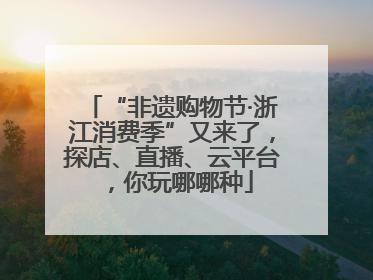 “非遗购物节·浙江消费季”又来了，探店、直播、云平台，你玩哪哪种