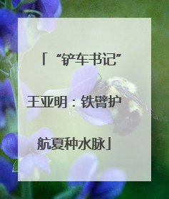 “铲车书记”王亚明：铁臂护航夏种水脉