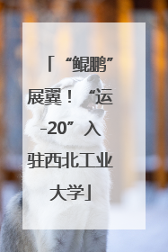“鲲鹏”展翼！“运-20”入驻西北工业大学