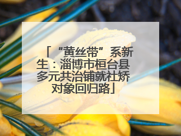“黄丝带”系新生：淄博市桓台县多元共治铺就社矫对象回归路