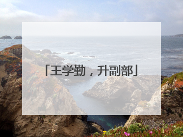 王学勤，升副部