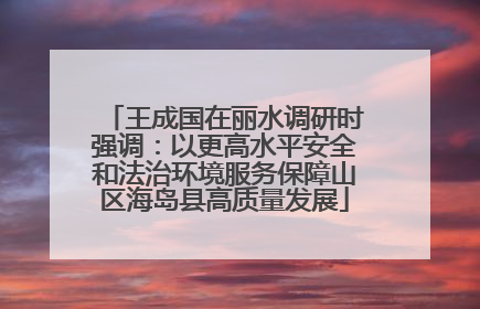 王成国在丽水调研时强调：以更高水平安全和法治环境服务保障山区海岛县高质量发展