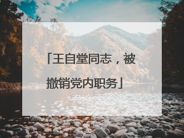 王自堂同志，被撤销党内职务