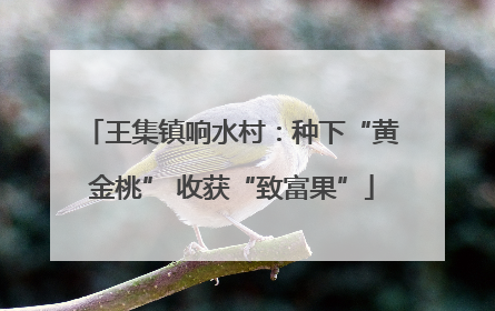 王集镇响水村：种下“黄金桃” 收获“致富果”
