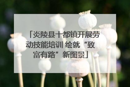 炎陵县十都镇开展劳动技能培训 绘就“致富有路”新图景