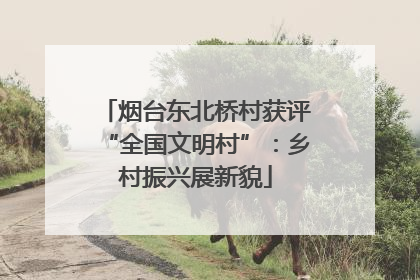烟台东北桥村获评“全国文明村”：乡村振兴展新貌
