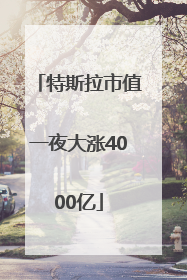 特斯拉市值一夜大涨4000亿
