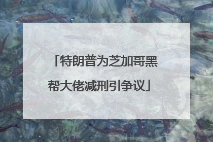 特朗普为芝加哥黑帮大佬减刑引争议