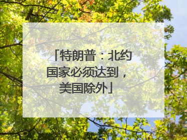 特朗普：北约国家必须达到，美国除外
