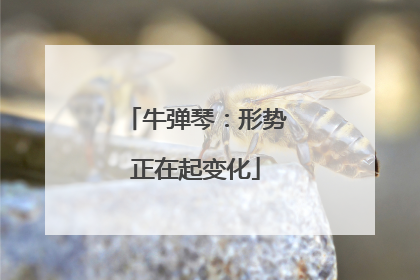 牛弹琴：形势正在起变化
